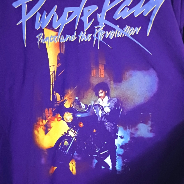 Prince Baby Official Price Brand And Xxl